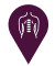 Kinesiología y pruebas musculares icon
