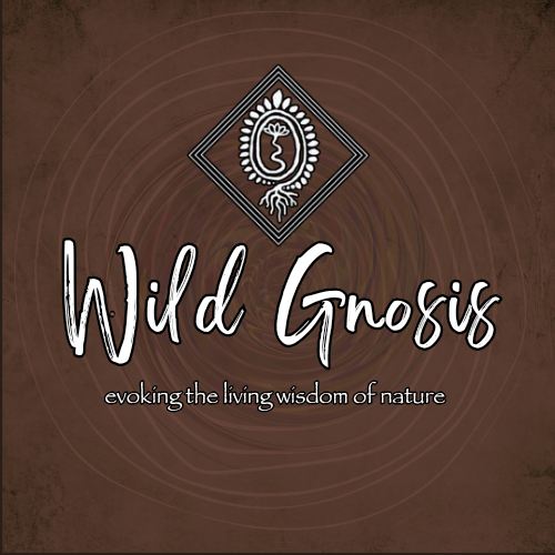 Wild Gnosis 20241106 090837 0000